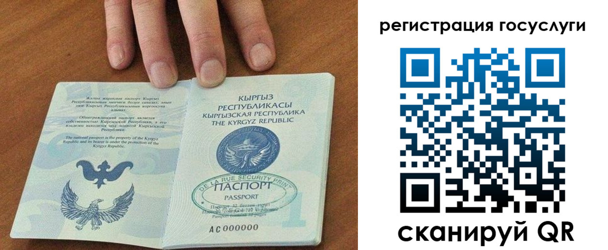 прописка ребенка в Ивантеевке